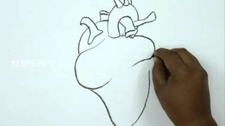 How to draw a human heart - YouTube