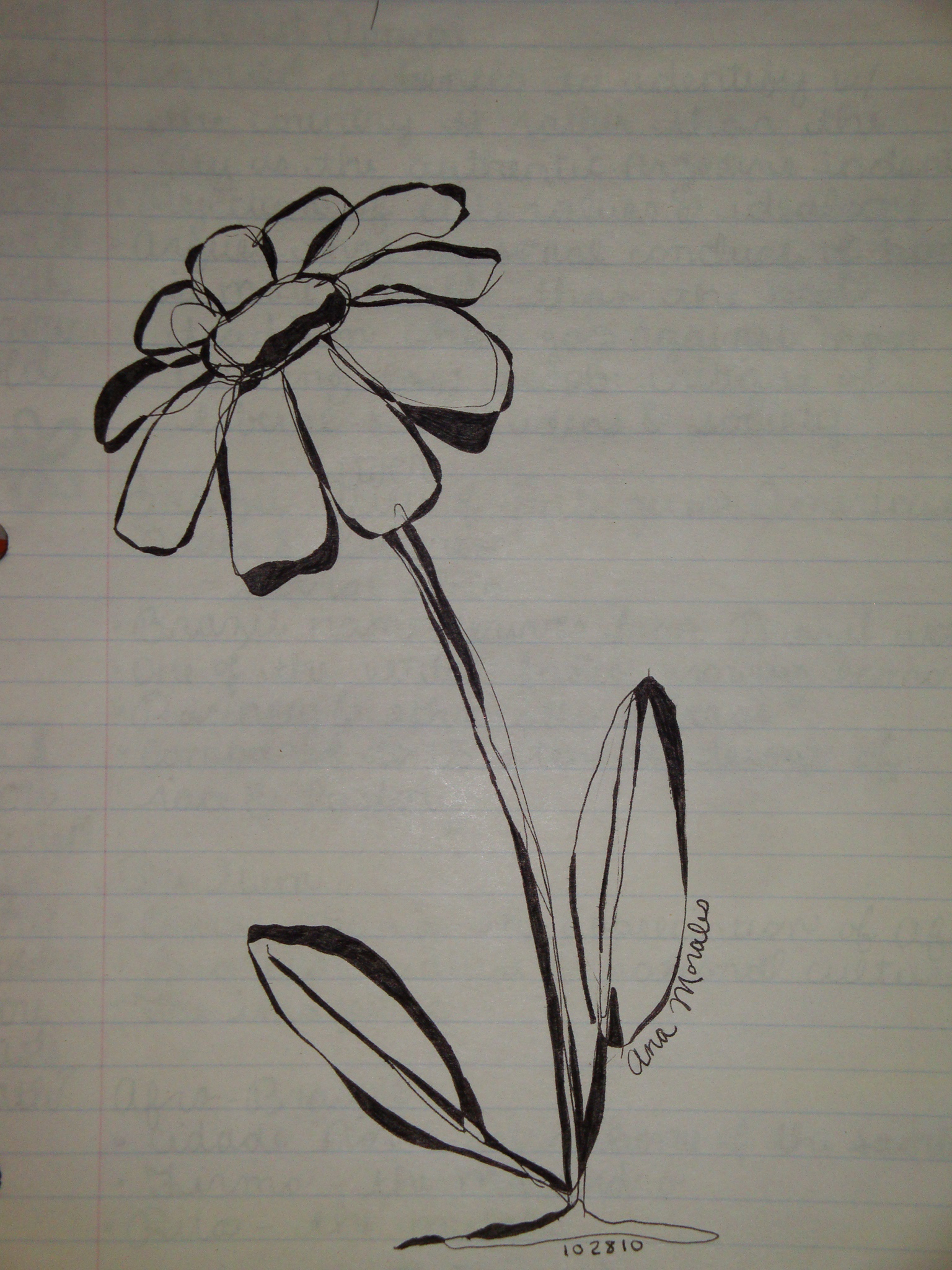Continuous Line Drawing 3 (Flower | MORE ART PLEASE