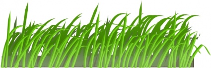 Cartoon Grass Plant Garden Lawn Texture Gras Free Vector - Flowers ...
