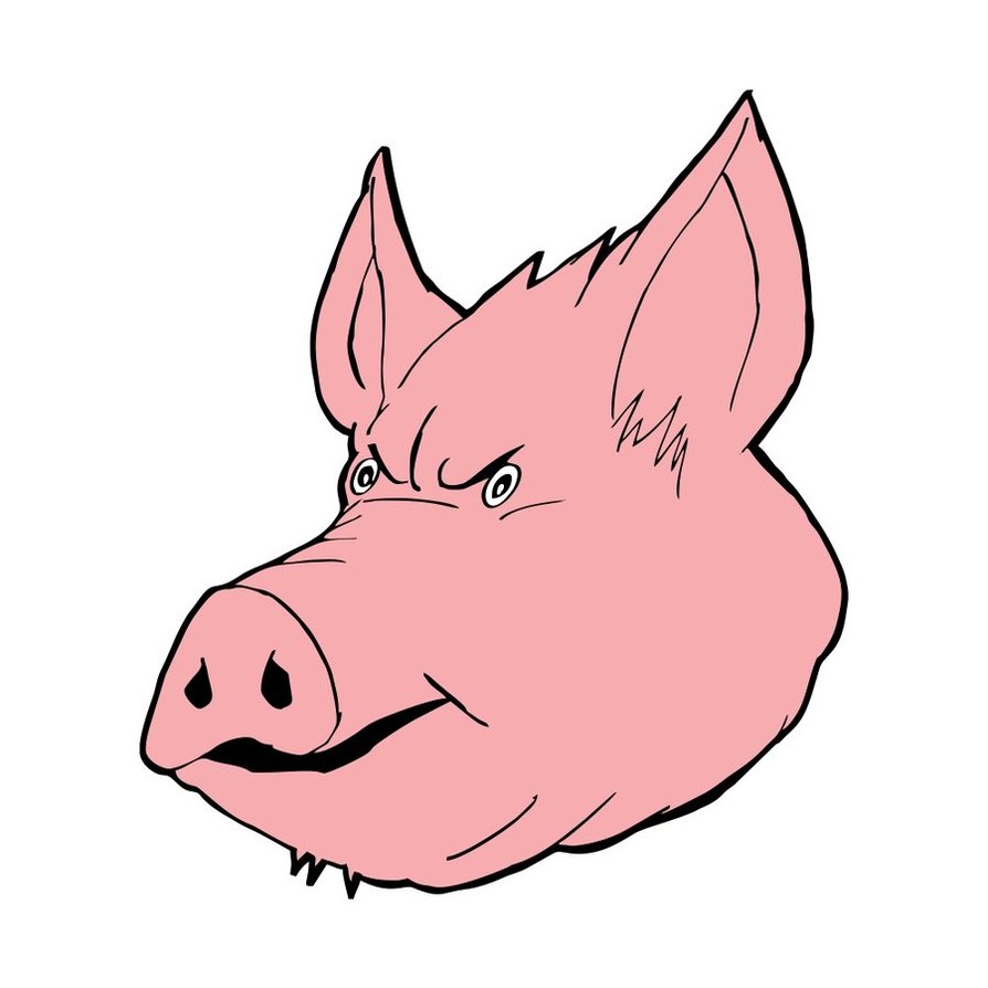 Pig Face Drawing - Gallery