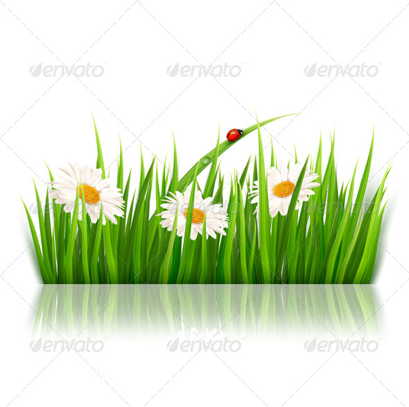 clipart panda grass - photo #25