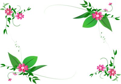 Free Frames and borders png | flower-border-design-png-360.png ...