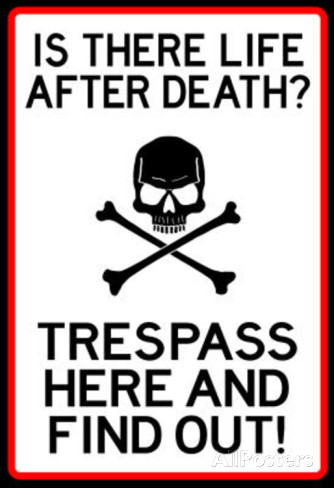 No Trespassing Do Not Enter Sign Poster Masterprint at AllPosters.com