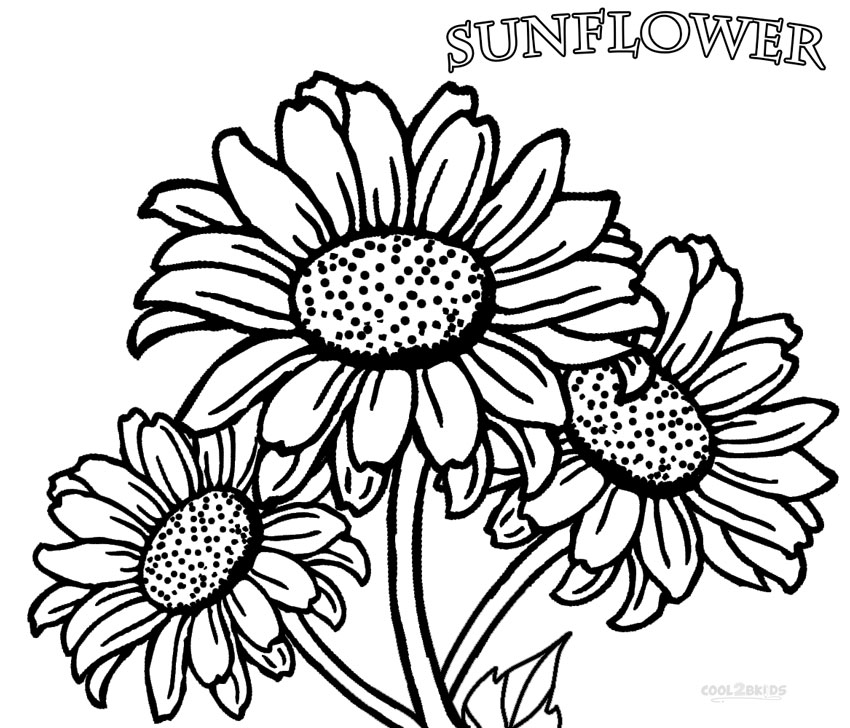 Printable Sunflower Coloring Pages For Kids | Cool2bKids