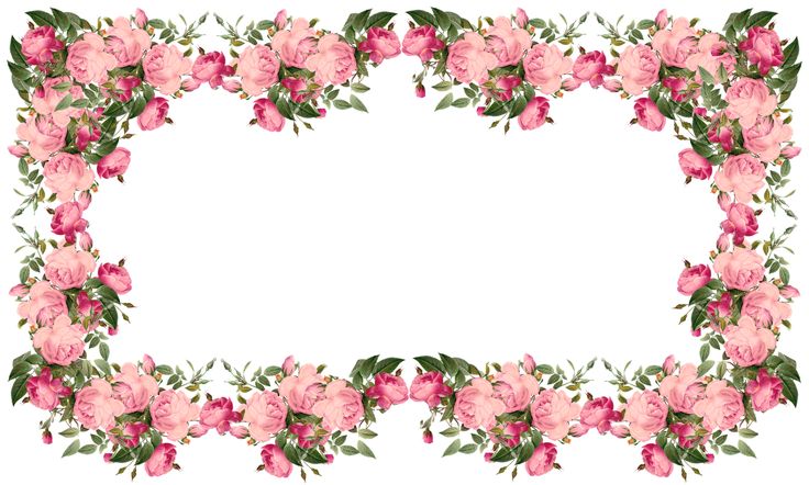 Vintage Pink | free vintage roses frames and border png – Vintage ...