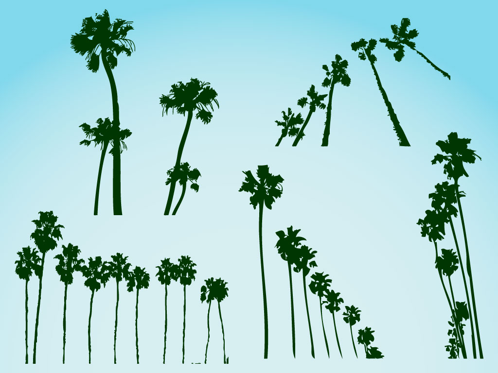palm-trees-vectors.jpg