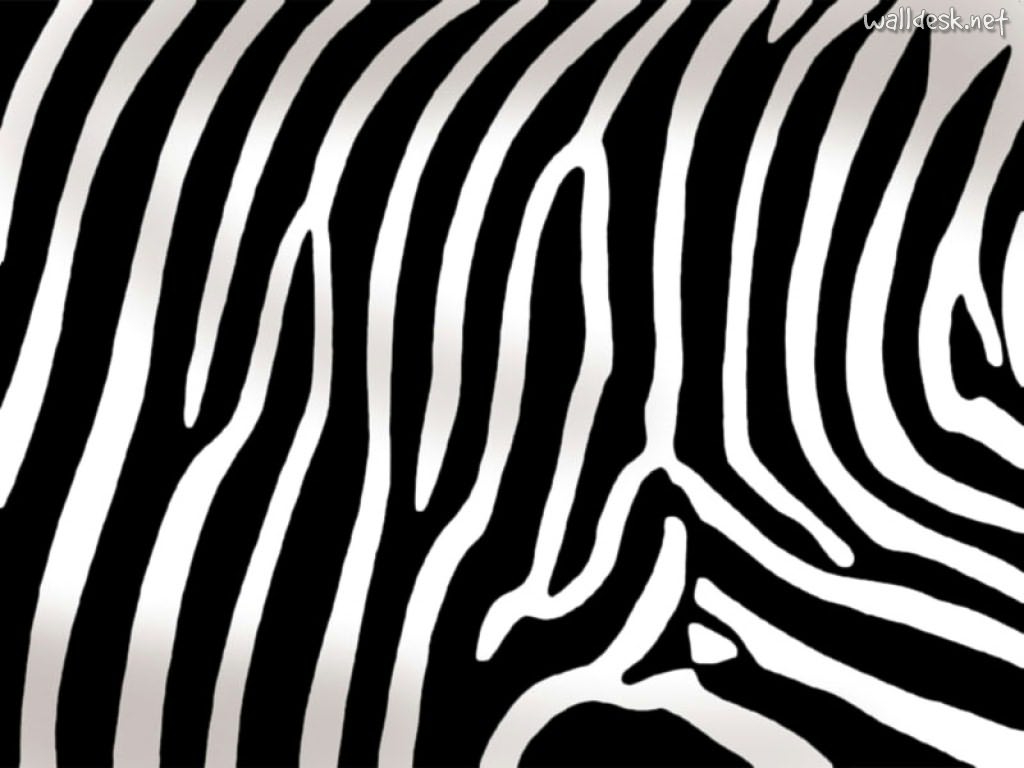 Zebra Print - Images to Desktop Textures, photo and wallpaper in ...