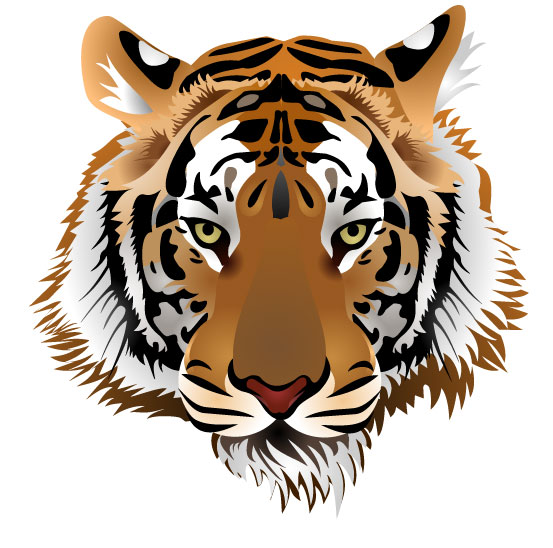 Set of Tiger vector picture art 03 | Animal vectors