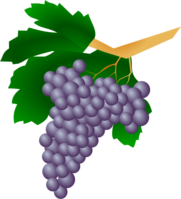clip art grape leaf - photo #21