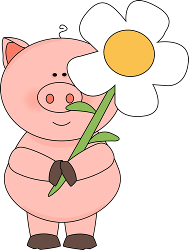 clipart drawing of a pig - photo #19