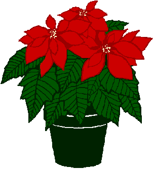 Pix For > Poinsettia Plant Clip Art