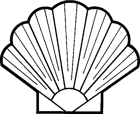 Scallop Shell Inside Outline Clipart - Free Clip Art Images