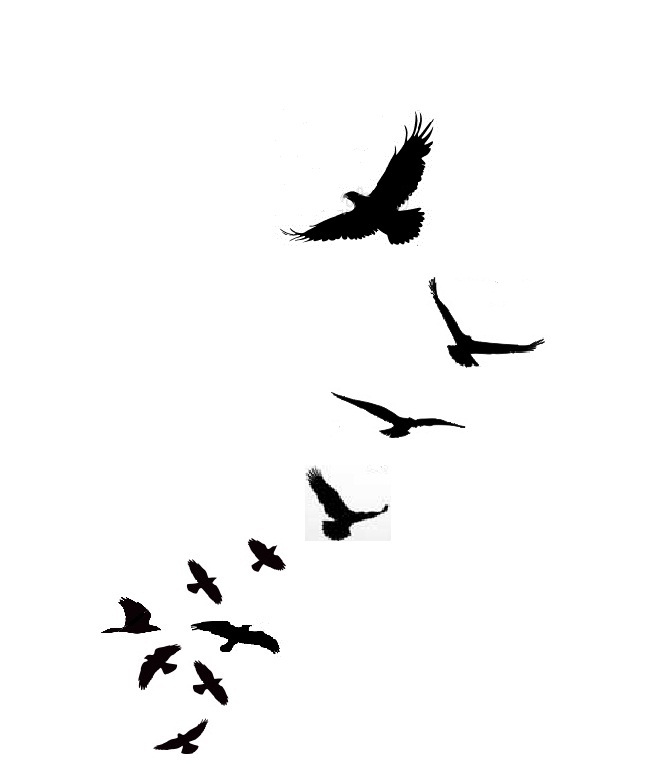 Birds Flying With Flock Design Tattoo