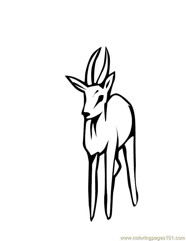 Coloring Pages Of Deer Horns