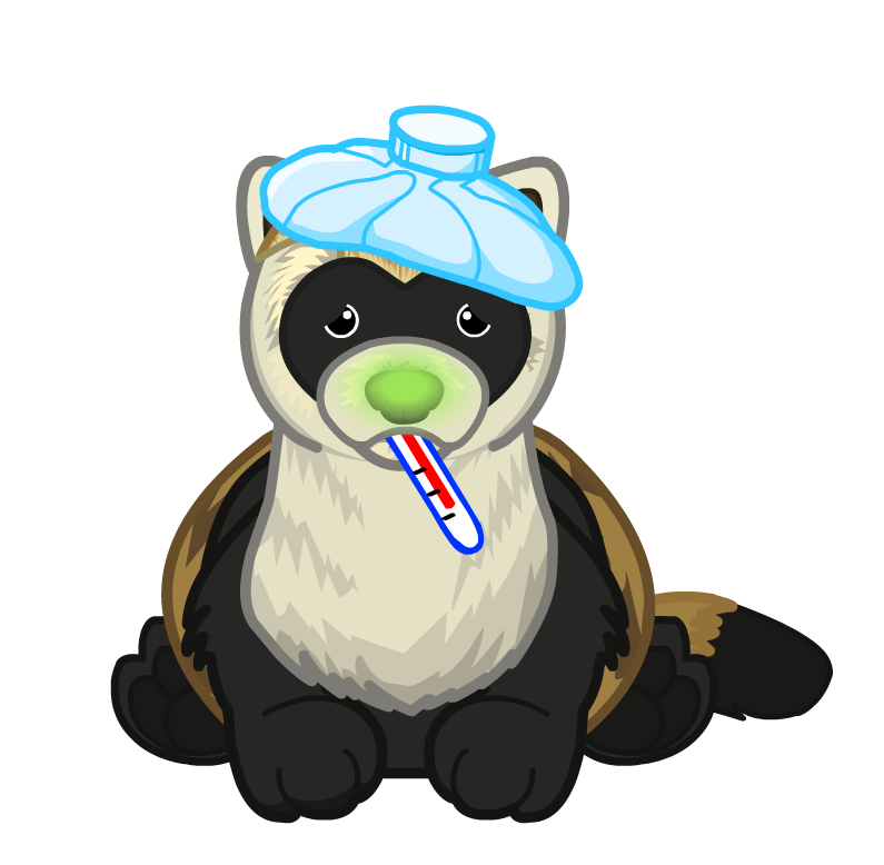 File Signature Black Footed Ferret Sick Png Webkinz Insider Wiki