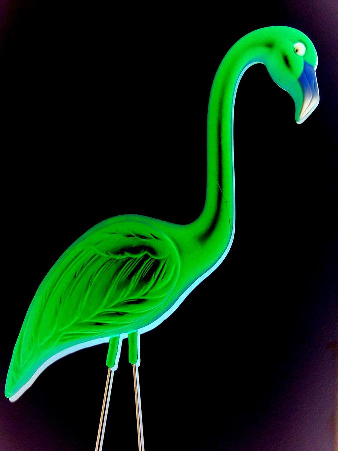 Green Flamingo by Randall Weidner - Green Flamingo Digital Art ...