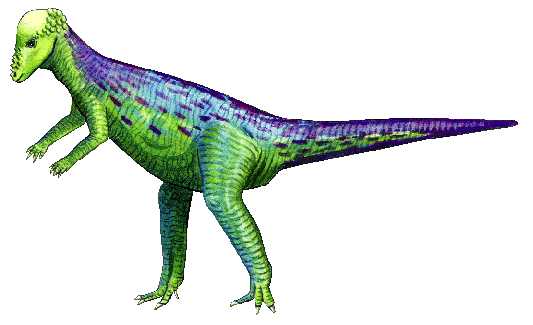 Velociraptor pictures for kids