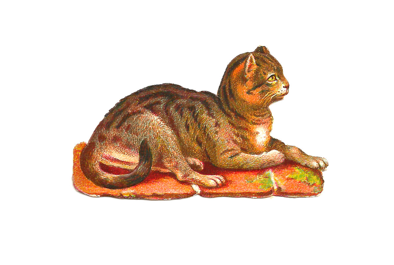Antique Images: Free Animal Graphic: Cat Laying on Garden Tiles ...