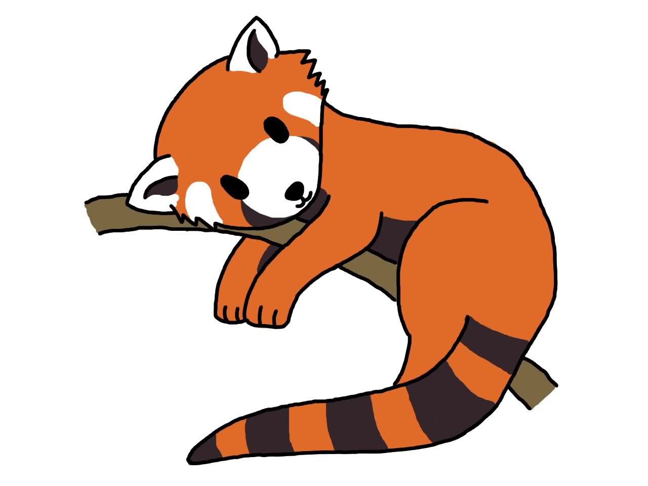 Red Panda Drawing | Clipart Panda - Free Clipart Images