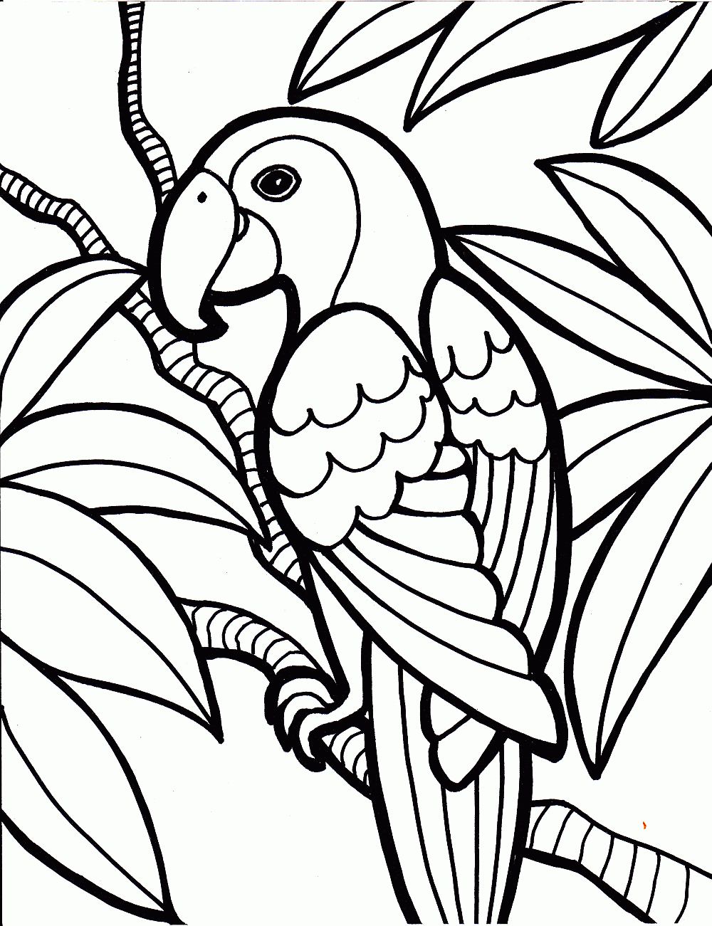 Bird Coloring Pages | Coloring Pages To Print