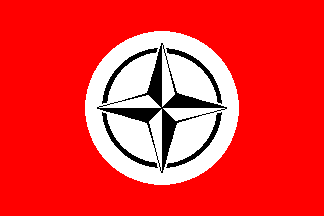 Derogatory nazi flag variations