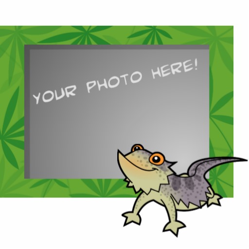 Bearded Dragon Birthday Gifts - T-Shirts, Art, Posters & Other ...
