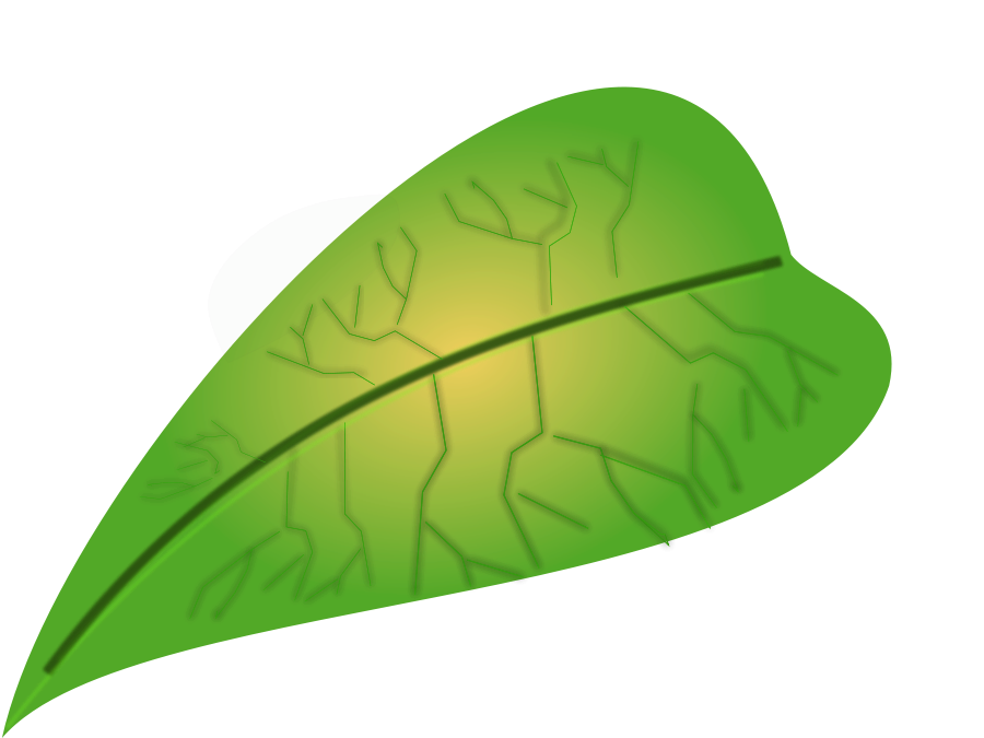 Green leaf medium 600pixel clipart, vector clip art
