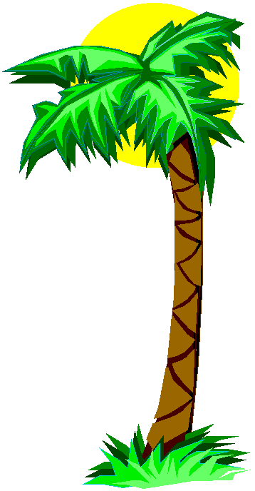 Cartoon Palm Tree | lol-