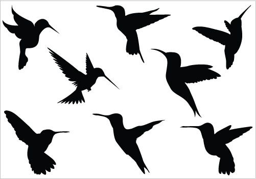 Birds Vector Graphics | Silhouette Cameo projects <3 | Pinterest