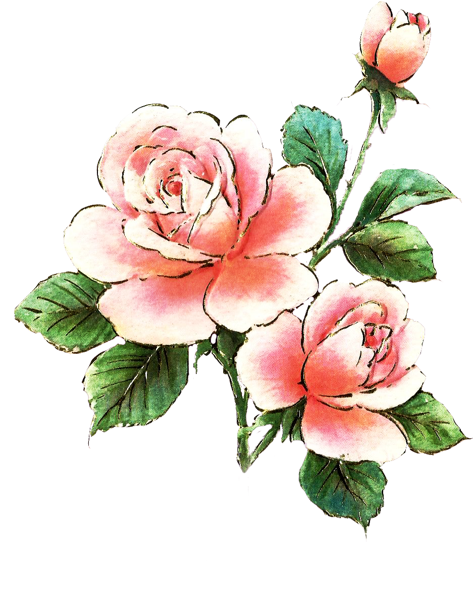 Jinifur Pink Rose Element by jinifur on deviantART