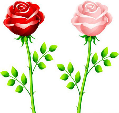Free Red and pink rose vector graphics | Free Vector Graphics