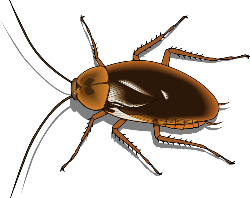 Insect 25 Free Vector / 4Vector
