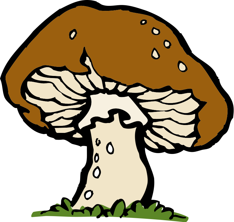 Fungi Clip Art Download