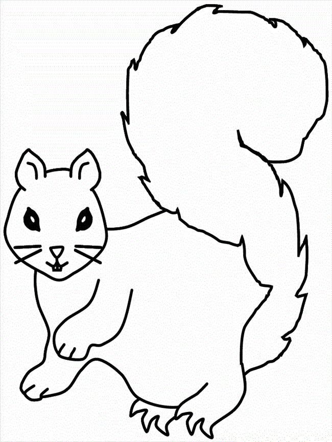 squirrell Colouring Pages (page 2)