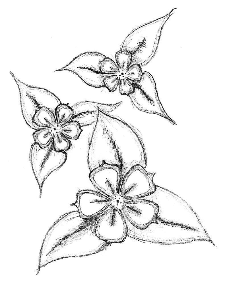 Simple Flowers - Cliparts.co