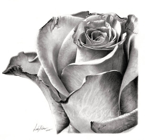 4-flower-drawing-rose.jpg