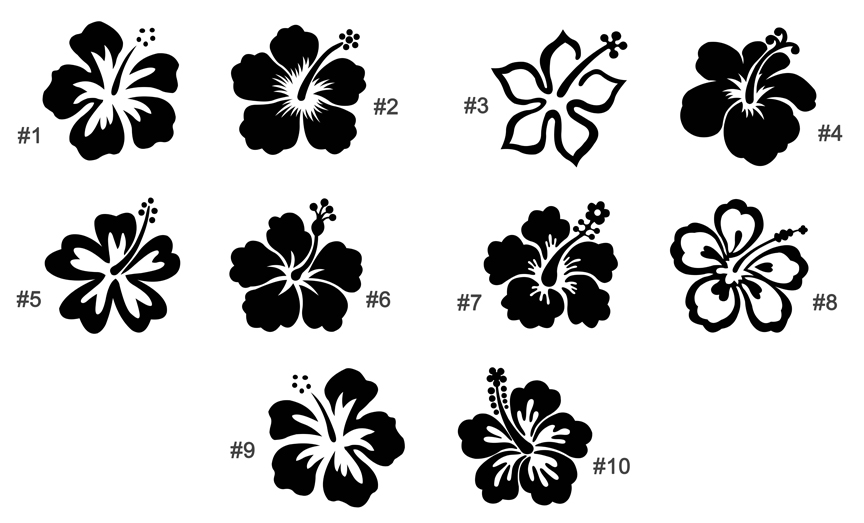 Hibiscus Drawing Steps - Gallery