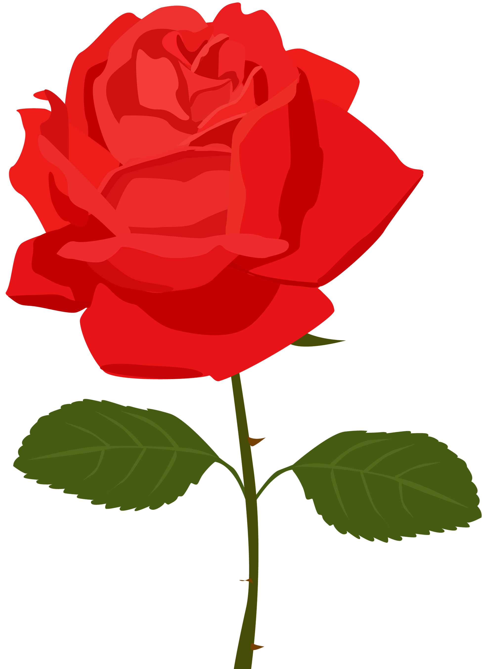 Red Rose Cartoon - Cliparts.co