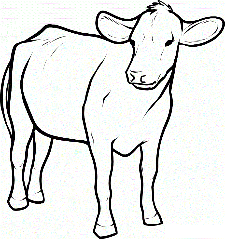 Cow-Coloring-Pages-Printable-For-Kids1 | Free coloring pages for kids