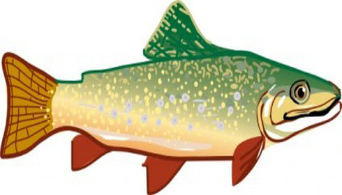 Trout Clip Art | Free Vector Download - Graphics,Material,EPS,Ai ...