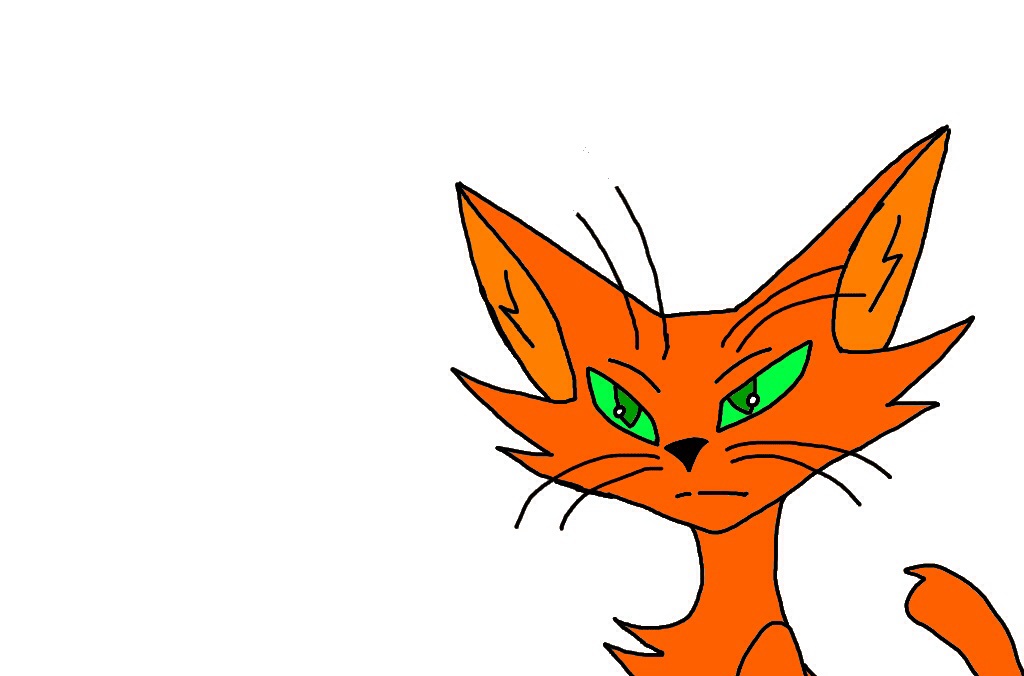 Orange cat background by corathecat on deviantART