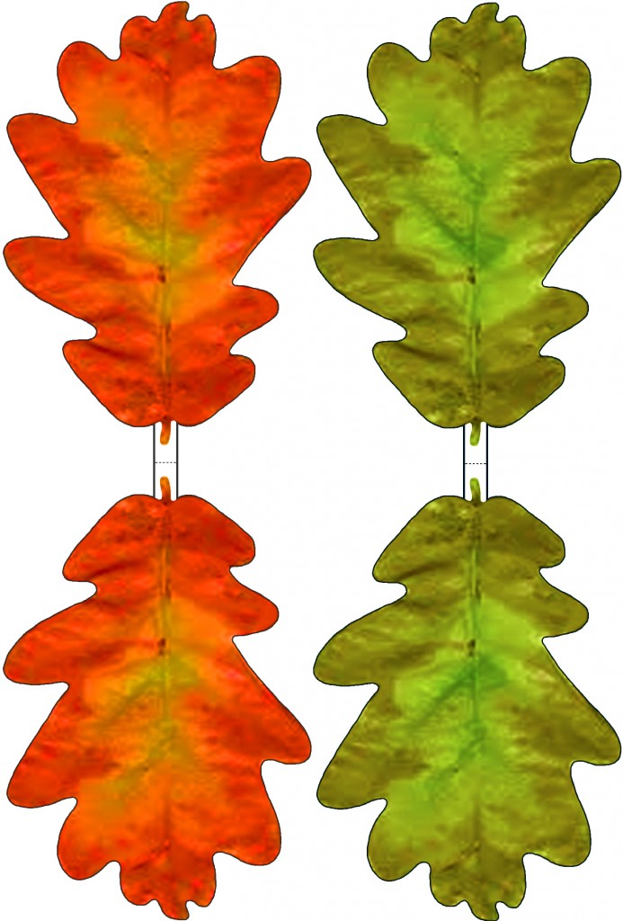 Green and Red Paper Oak Leaf Decoration - Rooftop Post Printables