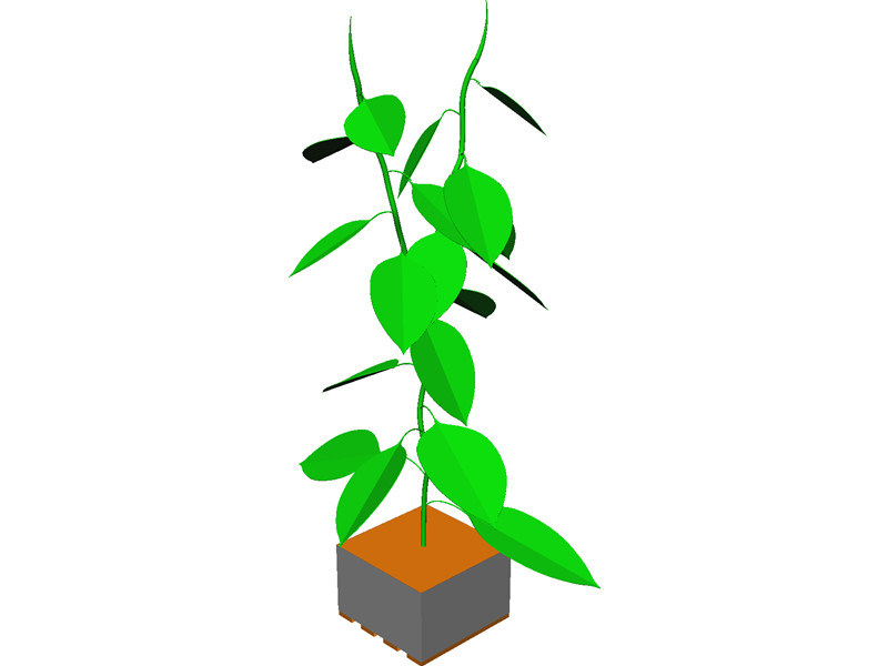 Bell Pepper Plant 3D CAD Model Download | 3D CAD Browser