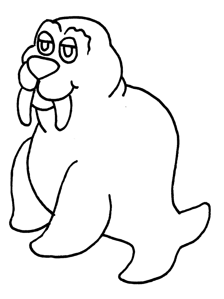 Walrus Colouring Pages- PC Based Colouring Software, thousands of ...