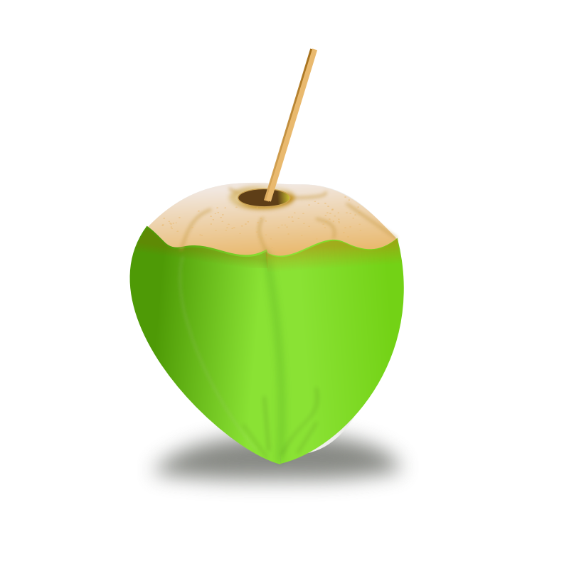 Clipart - coconut icon
