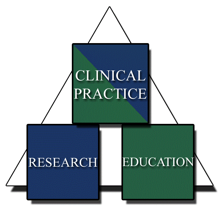 Building Blocks for Clinical Practice | NATA Research & Education ...