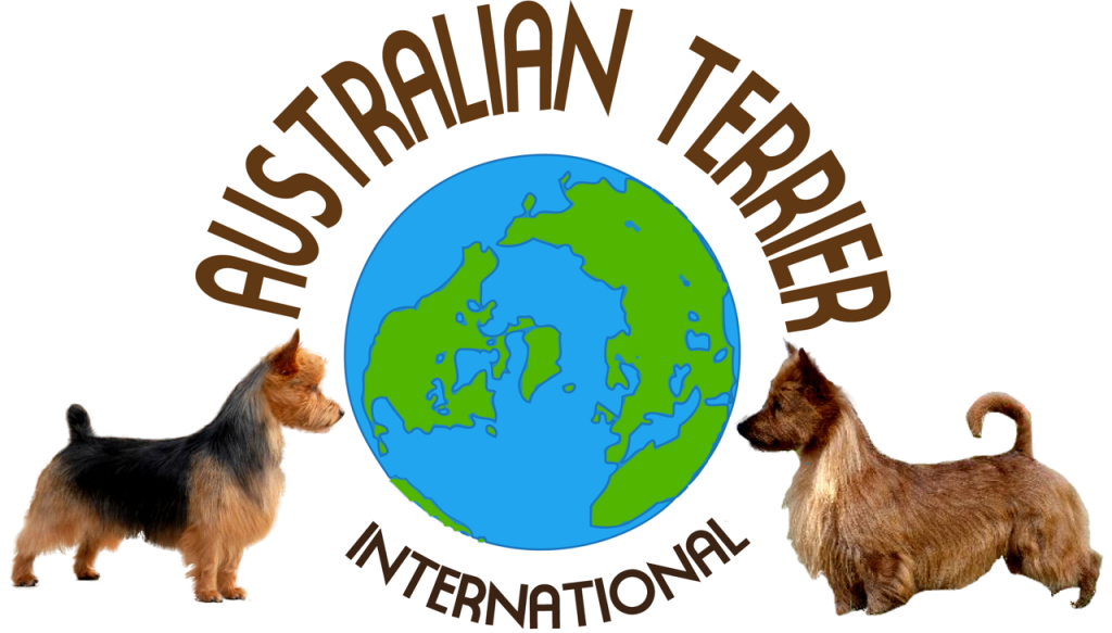News From Australian Terrier International
