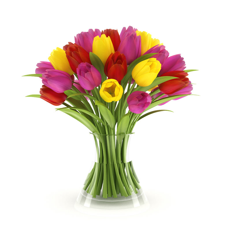 Three-color Tulips 3D Model .max .obj .fbx .c4d- CGTrader.