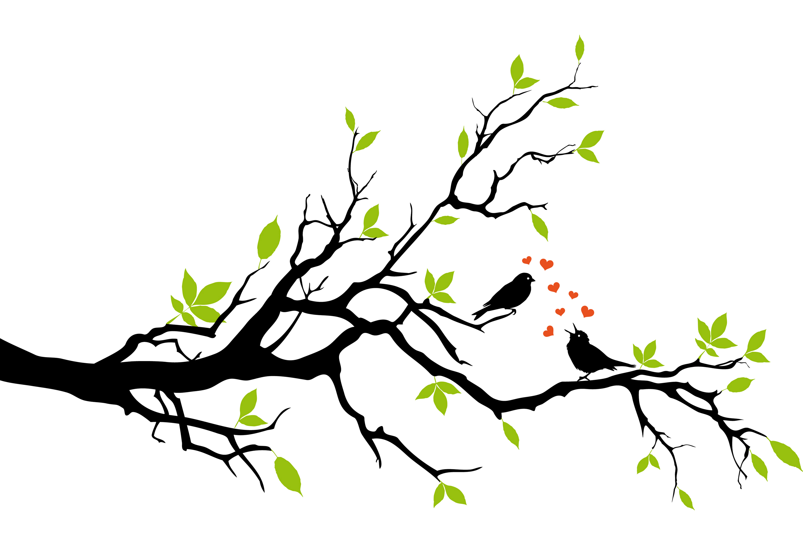 free clipart images love birds - photo #28