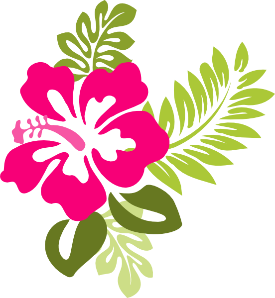 Related Pictures Illustration Of A Hibiscus Flower Border Acclaim ...